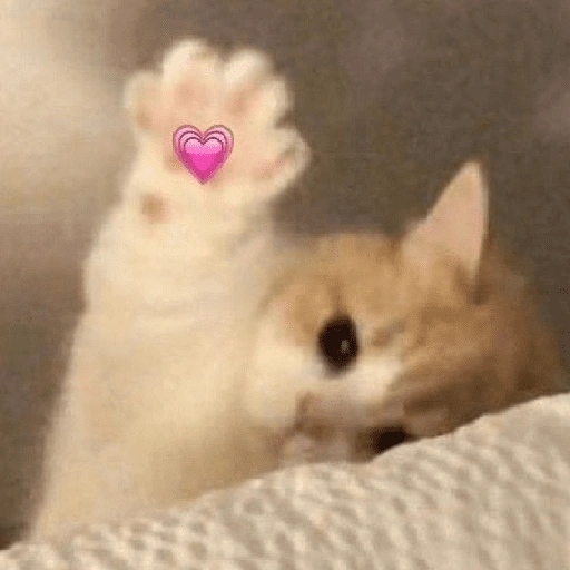 Figurinha de Figurinhas fofas ❤️😻 para WhatsApp (5 de 15)