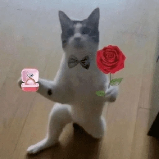 Figurinha de Figurinhas fofas ❤️😻 para WhatsApp (15 de 15)