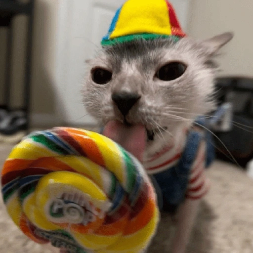 Figurinha de Flop Memes 🍭 para WhatsApp (2 de 15)