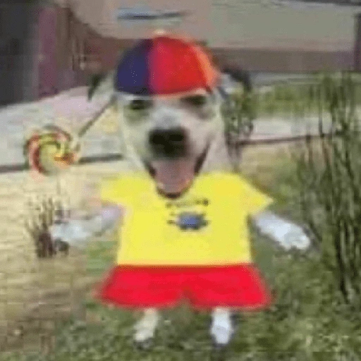 Figurinha de Flop Memes 🍭 para WhatsApp (3 de 15)