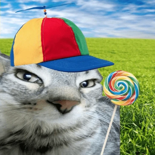 Figurinha de Flop Memes 🍭 para WhatsApp (5 de 15)