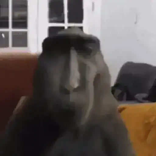 Figurinha de Floptok animadas (4 de 15)