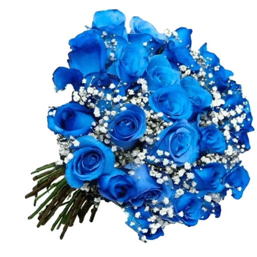 Figurinha de Flores - Flowers 💐 para WhatsApp (8 de 15)