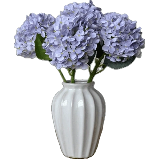 Figurinha de Flores - Flowers 💐 para WhatsApp (12 de 15)