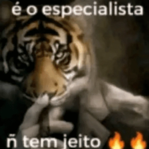 Figurinha de Frases e respostas (10 de 15)