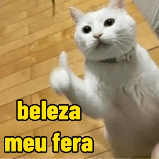Figurinha de gatinho para reagir (1 de 16)