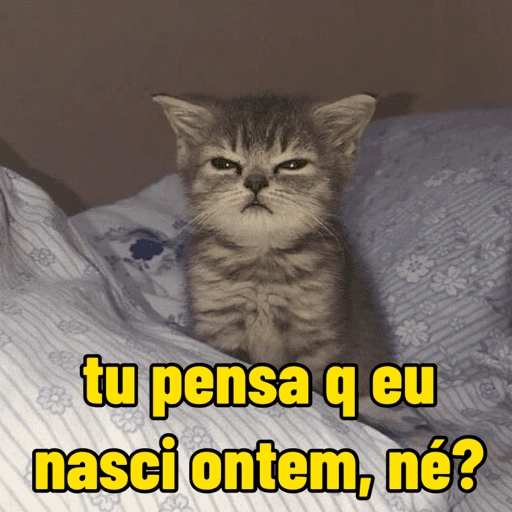 Figurinha de gatinho para reagir (9 de 16)
