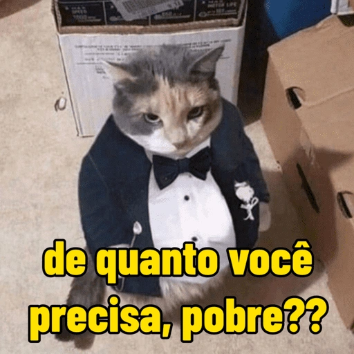 Figurinha de gatinho para reagir (11 de 16)
