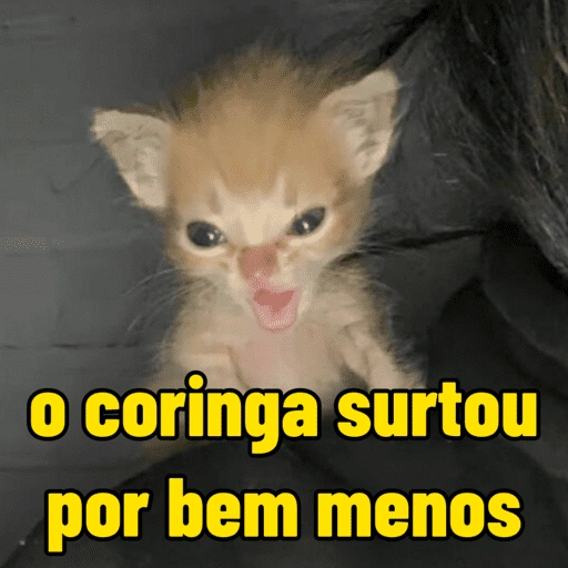 Figurinha de gatinho para reagir (15 de 16)