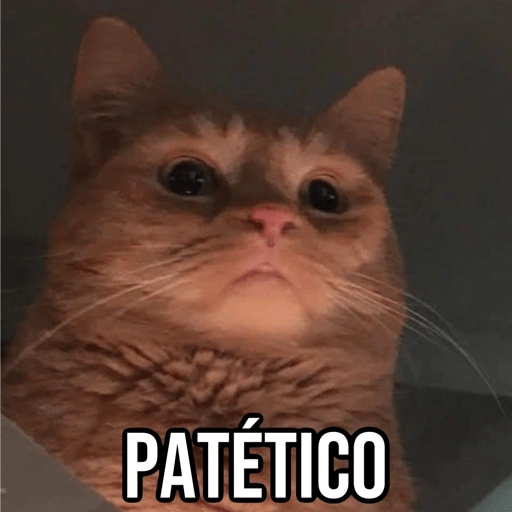 Figurinha de Gatinhos da Zoeira 🐱 para WhatsApp (3 de 30)