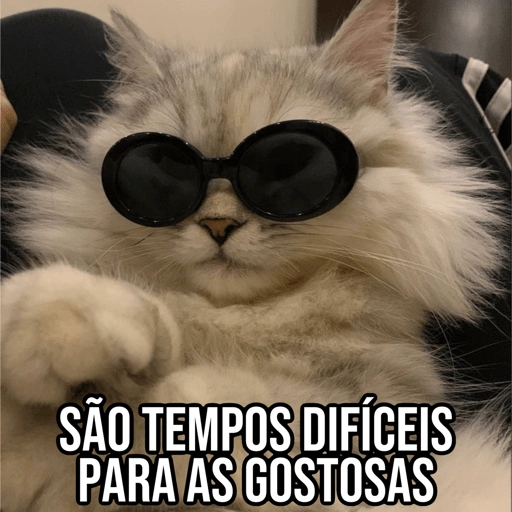 Figurinha de Gatinhos da Zoeira 🐱 para WhatsApp (4 de 30)