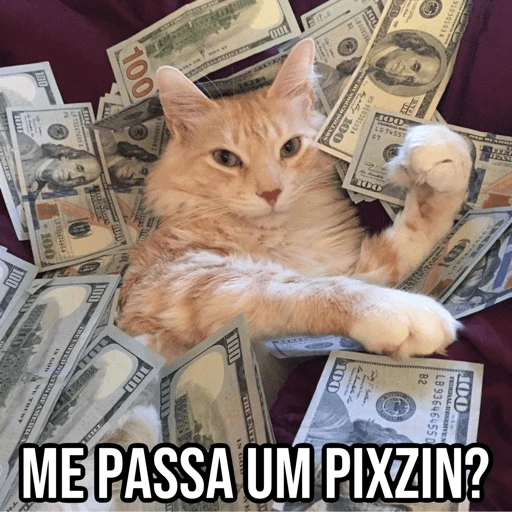 Figurinha de Gatinhos da Zoeira 🐱 para WhatsApp (7 de 30)