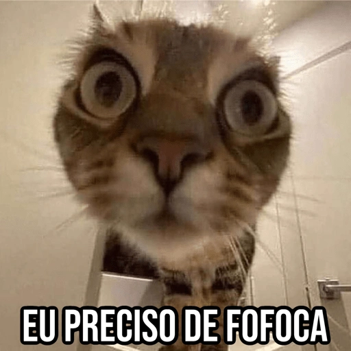 Figurinha de Gatinhos da Zoeira 🐱 para WhatsApp (8 de 30)
