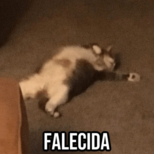 Figurinha de Gatinhos da Zoeira 🐱 para WhatsApp (12 de 30)