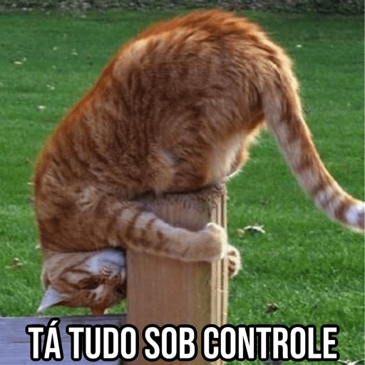 Figurinha de Gatinhos da Zoeira 🐱 para WhatsApp (19 de 30)