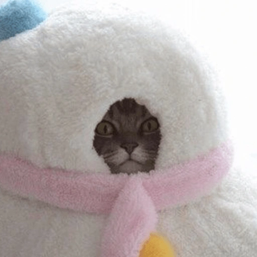 Figurinha de Gatinhos da Zoeira 🐱 para WhatsApp (21 de 30)