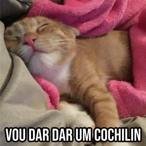 Figurinha de Gatinhos da Zoeira 🐱 para WhatsApp (25 de 30)