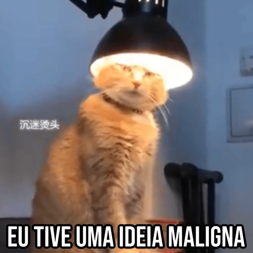 Figurinha de Gatinhos da Zoeira 🐱 para WhatsApp (26 de 30)