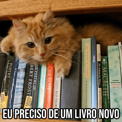 Figurinha de Gatinhos da Zoeira 🐱 para WhatsApp (27 de 30)
