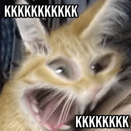 Figurinha de Gatinhos da Zoeira 🐱 para WhatsApp (29 de 30)