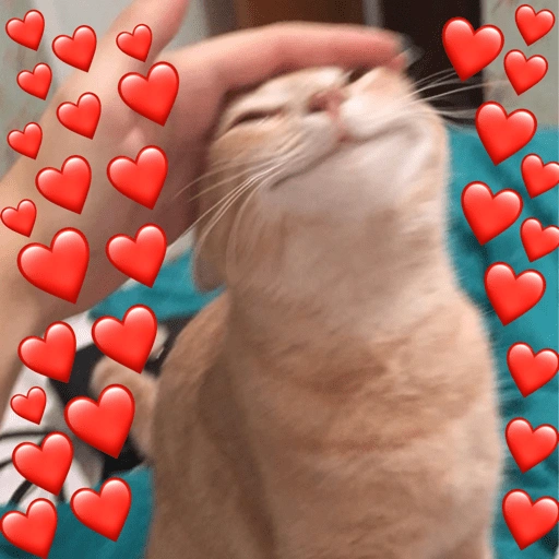 Figurinha de Gatinhos da Zoeira 🐱 para WhatsApp (30 de 30)