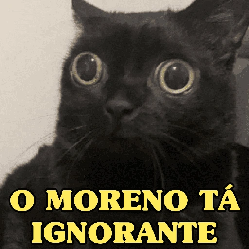 Figurinha de GATINHOS DEBOCHADOS 😸 para WhatsApp (2 de 16)