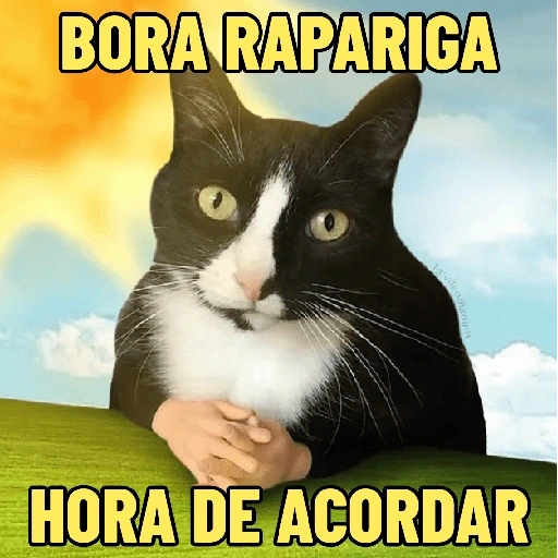 Figurinha de GATINHOS DEBOCHADOS 😸 para WhatsApp (3 de 16)