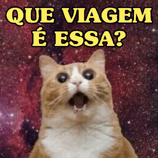 Figurinha de GATINHOS DEBOCHADOS 😸 para WhatsApp (10 de 16)