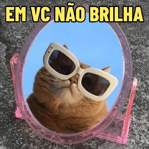 Figurinha de GATINHOS DEBOCHADOS 😸 para WhatsApp (12 de 16)