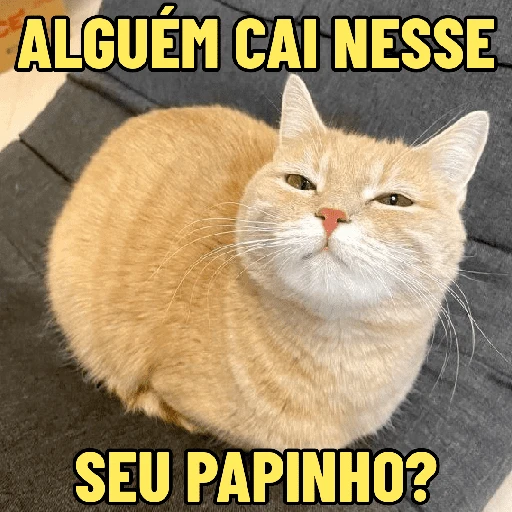 Figurinha de GATINHOS DEBOCHADOS 😸 para WhatsApp (14 de 16)