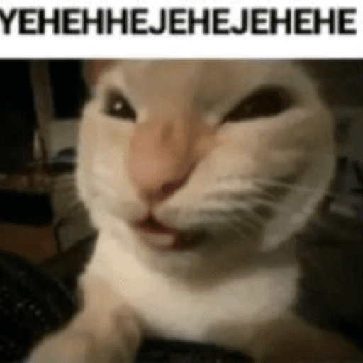 Figurinha de Gatinhos Engraçados🤣👇 (2 de 15)