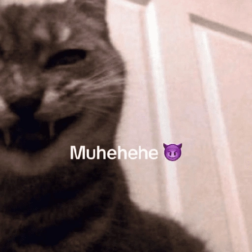 Figurinha de Gatinhos Engraçados🤣👇 (4 de 15)