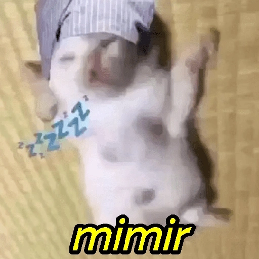 Figurinha de Gatinhos Engraçados🤣👇 (5 de 15)