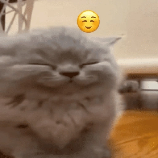 Figurinha de Gatinhos Engraçados🤣👇 (13 de 15)