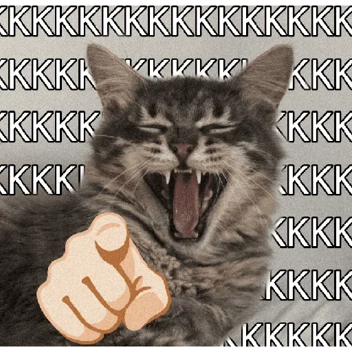 Figurinha de Gatinhos expressivos para WhatsApp (3 de 9)