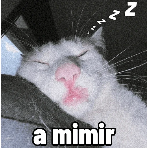 Figurinha de Gatinhos expressivos para WhatsApp (4 de 9)