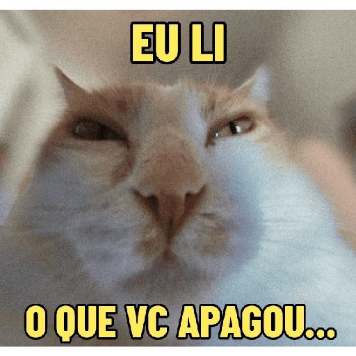 Figurinha de Gatinhos expressivos para WhatsApp (7 de 9)