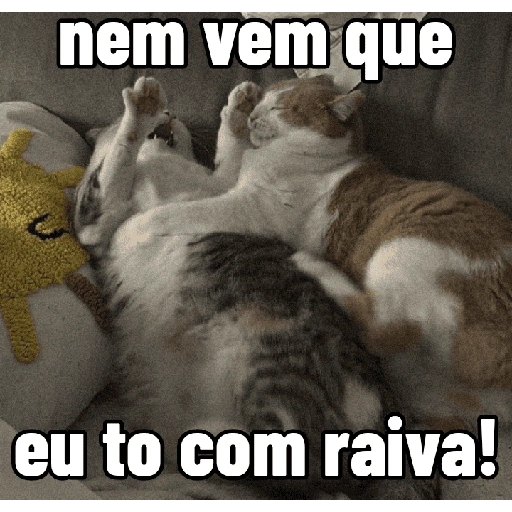 Figurinha de Gatinhos expressivos para WhatsApp (8 de 9)