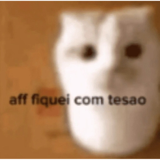Figurinha de gatinhos fofos para WhatsApp (2 de 16)