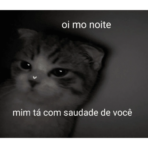 Figurinha de gatinhos fofos para WhatsApp (3 de 16)
