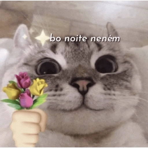 Figurinha de gatinhos fofos para WhatsApp (5 de 16)