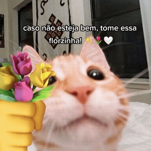 Figurinha de gatinhos fofos para WhatsApp (6 de 16)