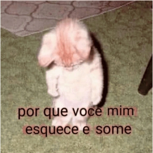 Figurinha de gatinhos fofos para WhatsApp (7 de 16)