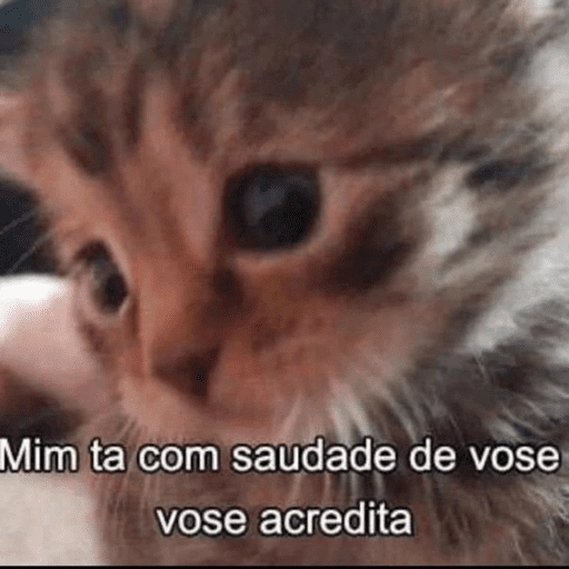 Figurinha de gatinhos fofos para WhatsApp (8 de 16)