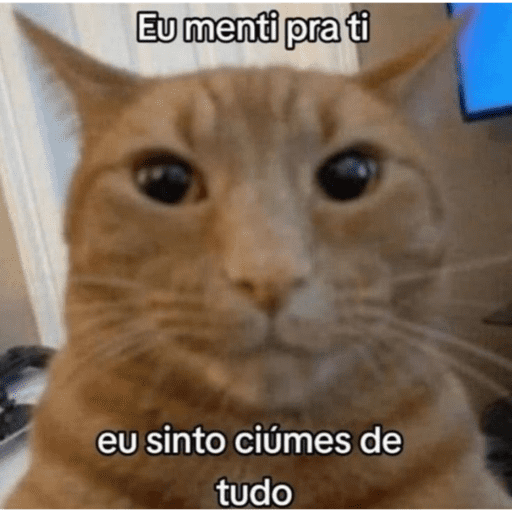 Figurinhas de gatinhos fofos para WhatsApp