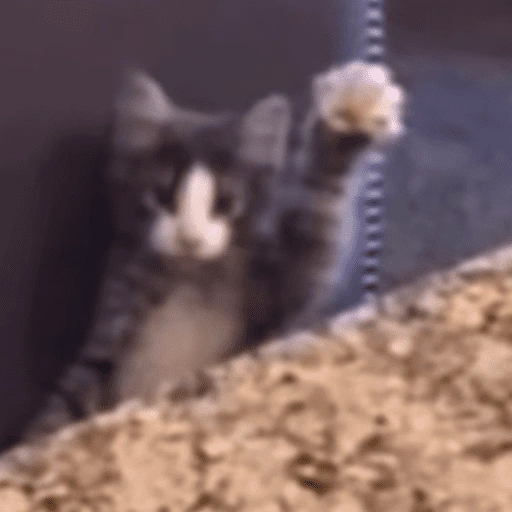 Figurinha de 😽 GATITOS PA' REACCIONAR 😽 (13 de 15)