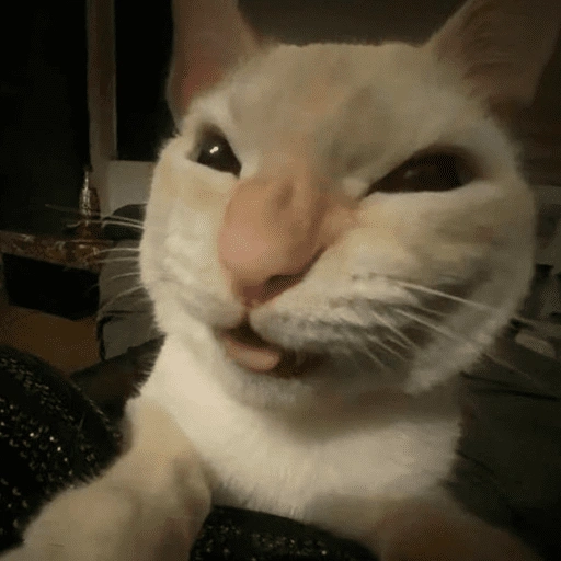 Figurinha de 😽 GATITOS PA' REACCIONAR 😽 (15 de 15)