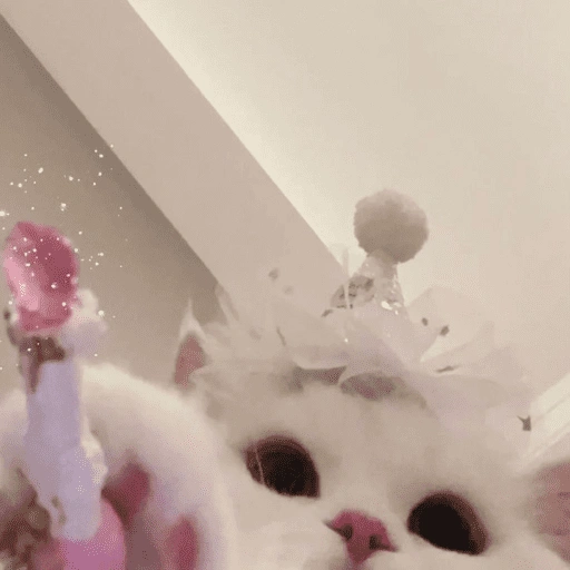 Figurinha de Gatitos🩷 para WhatsApp (13 de 15)