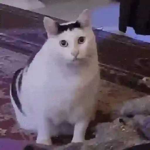 Figurinha de Gato Animado (2 de 9)