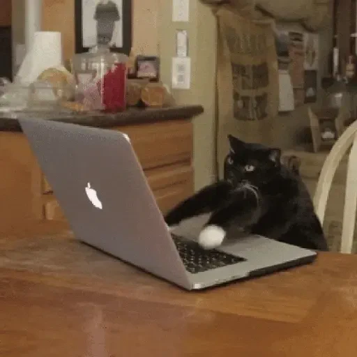 Figurinha de Gato Animado (9 de 9)
